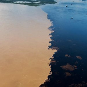 Meeting of the waters Manaus Brazilie