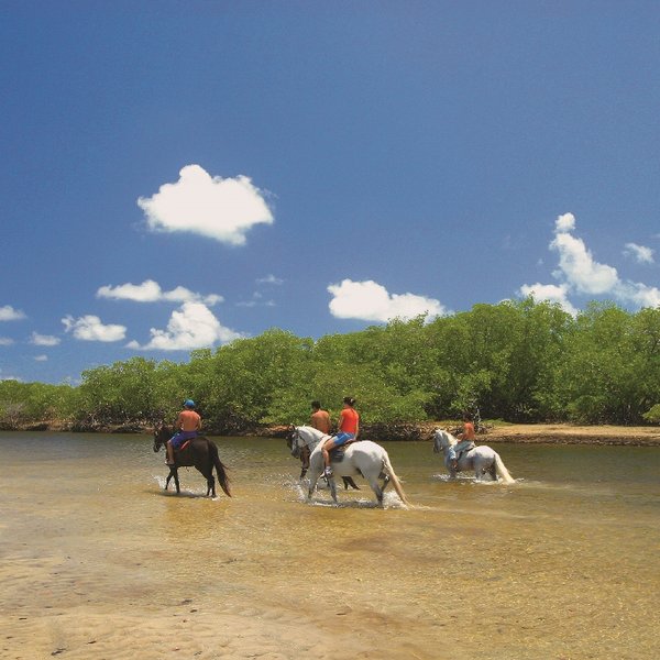 paardrijden Porto de Galinhas Brazilie