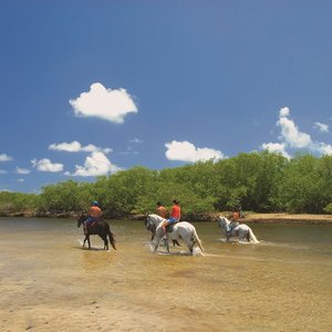 paardrijden Porto de Galinhas Brazilie