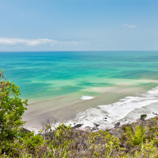 Panorama strand Itacare Brazilie