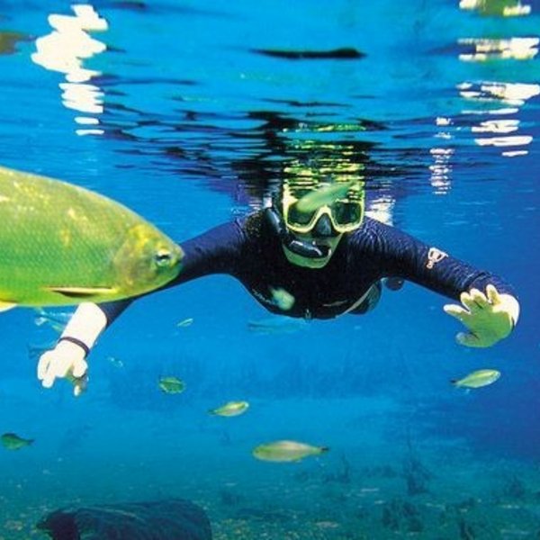 rivier snorkelen Bonito met vissen