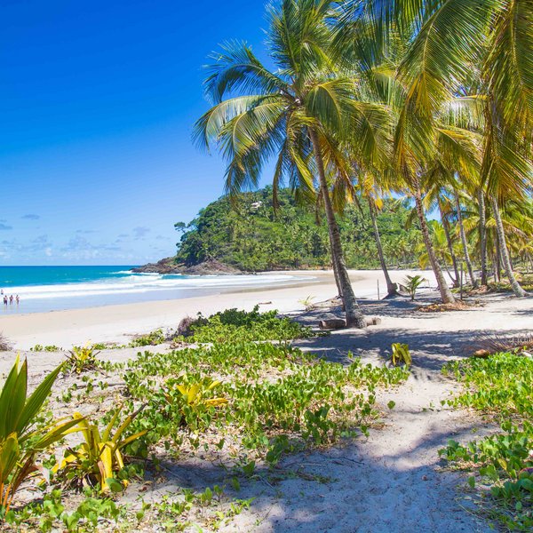 strand Itacara Brazilie