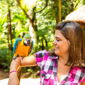 Bird park Foz do Iguacu Brazilie