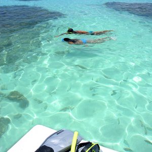 Snorkelen Maceio Brazilie