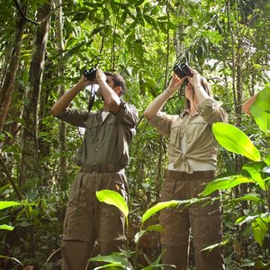 Bird watching Cristalino Lodge, Zuidelijke Amazone