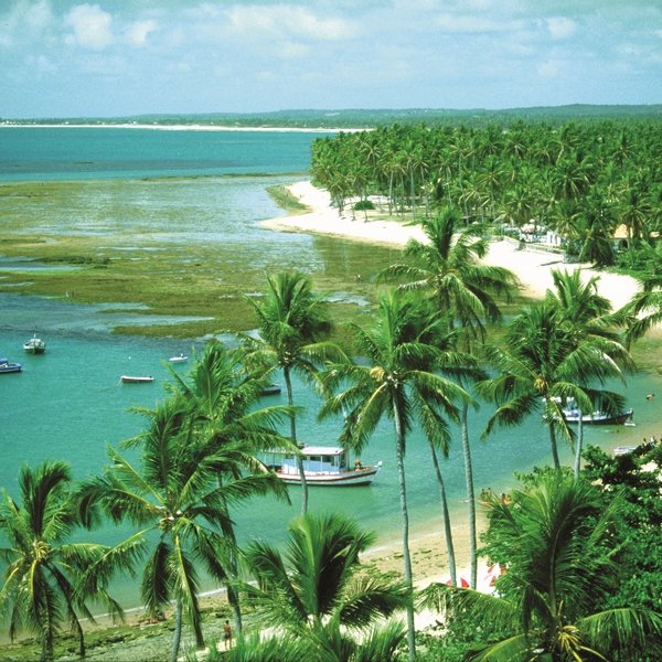 bootjes strand praia do forte Brazilie