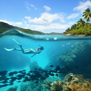 Snorkelen Fernando de Noronha Brazilie